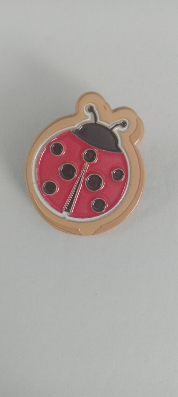 Disney trading ladybug pin.